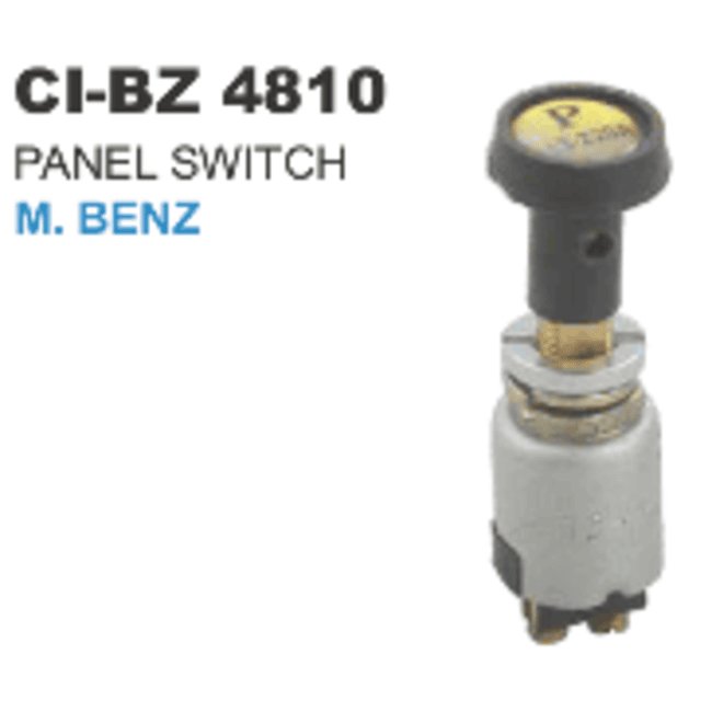 PANEL SWITCH